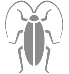 cockroach icon