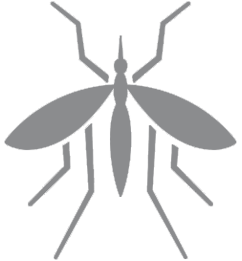 mosquito icon